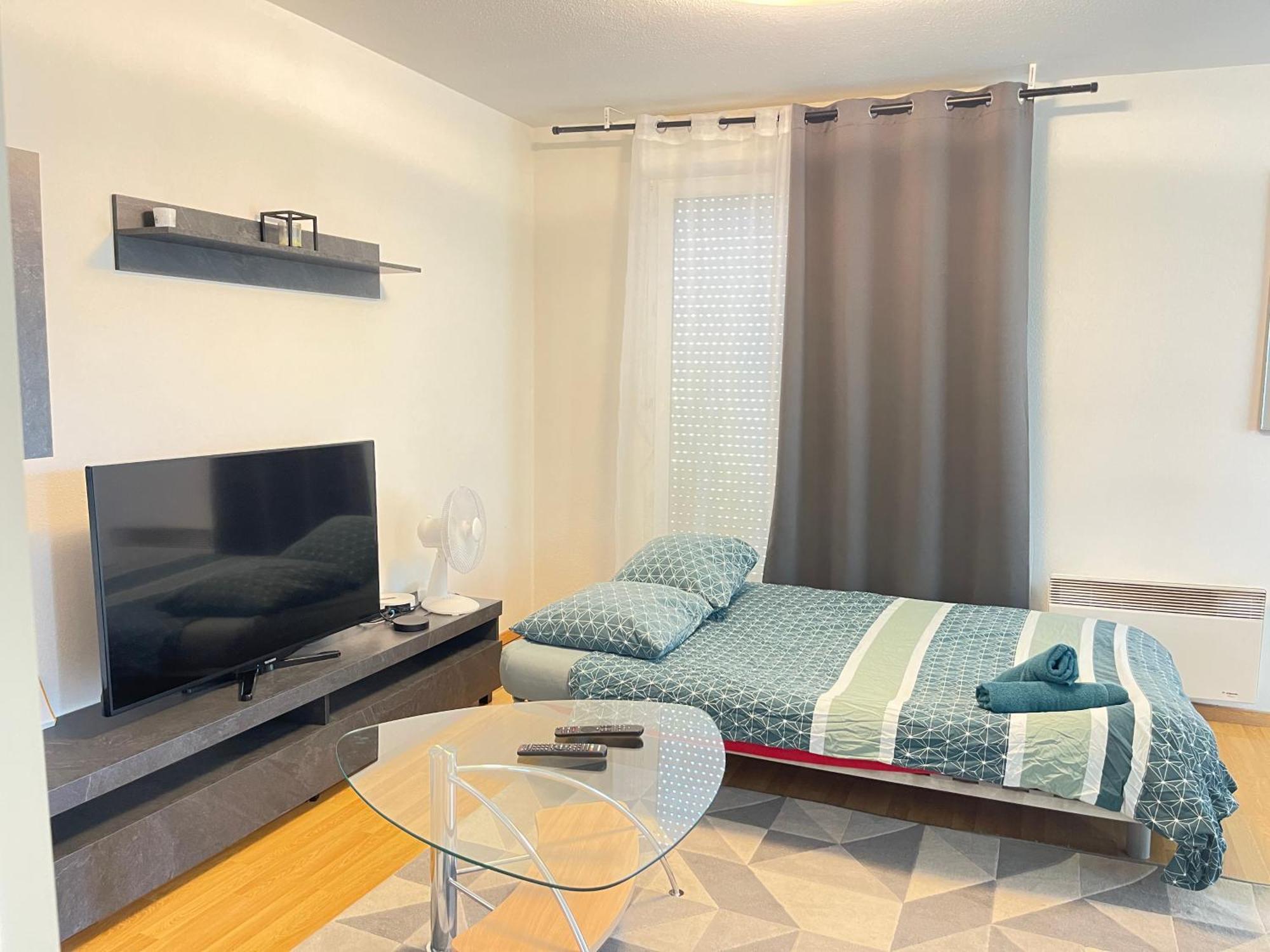 Apartment Flat At Border Suisse